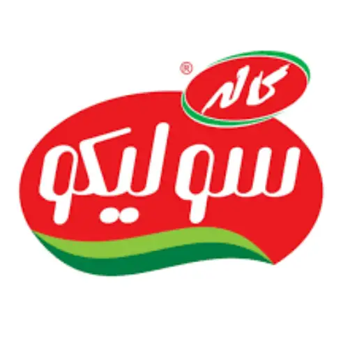 لوگو سولیکو
